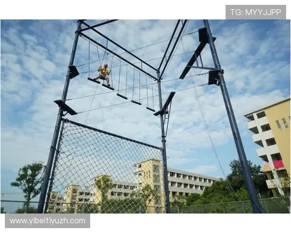 龙八体育推出多项体育培训课程，满足不同年龄段用户需求